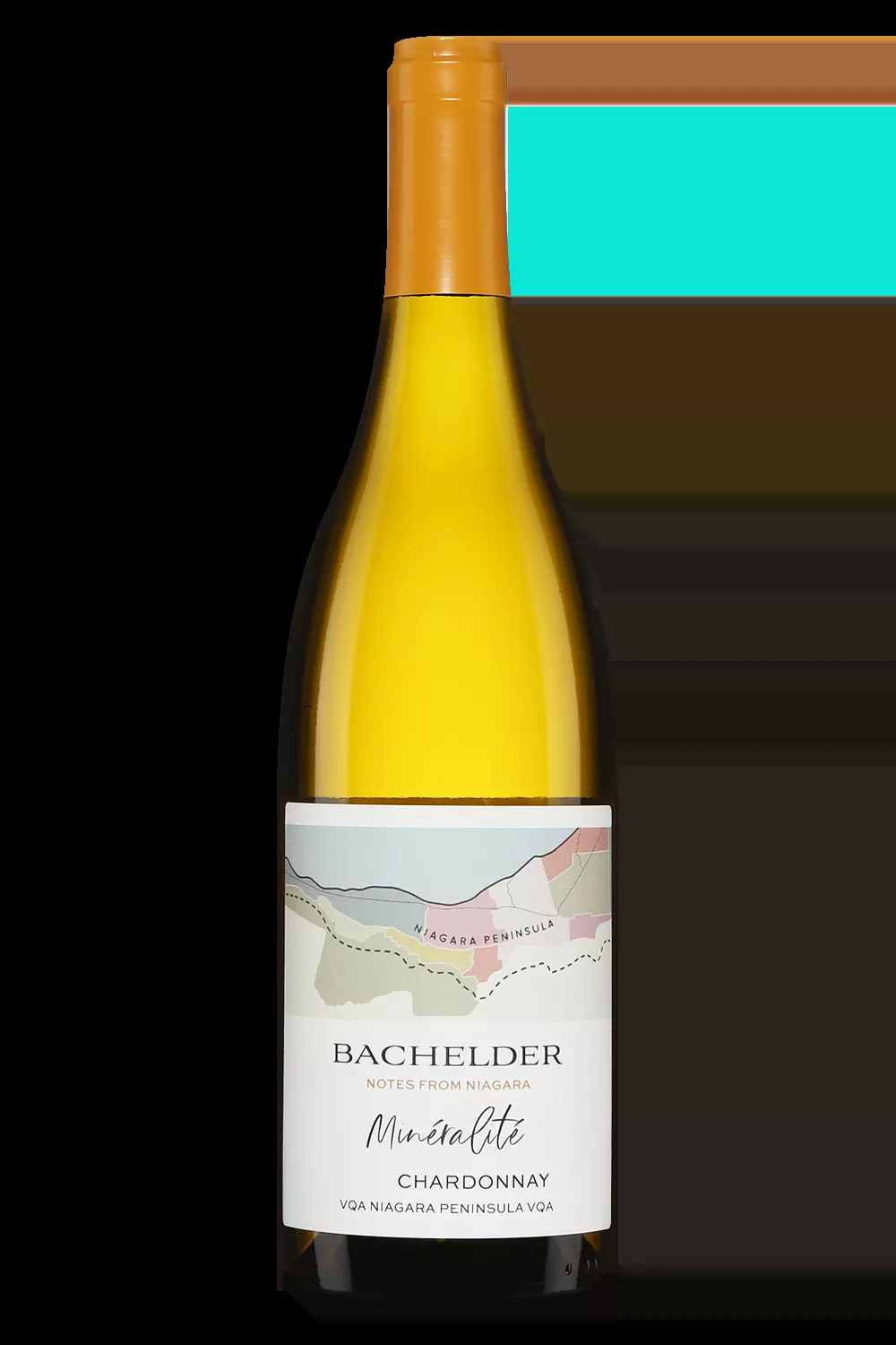 Bachelder Chardonnay Mineralité