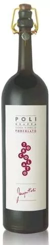 Jacopo Poli Torcolato Brandy | 1.75L