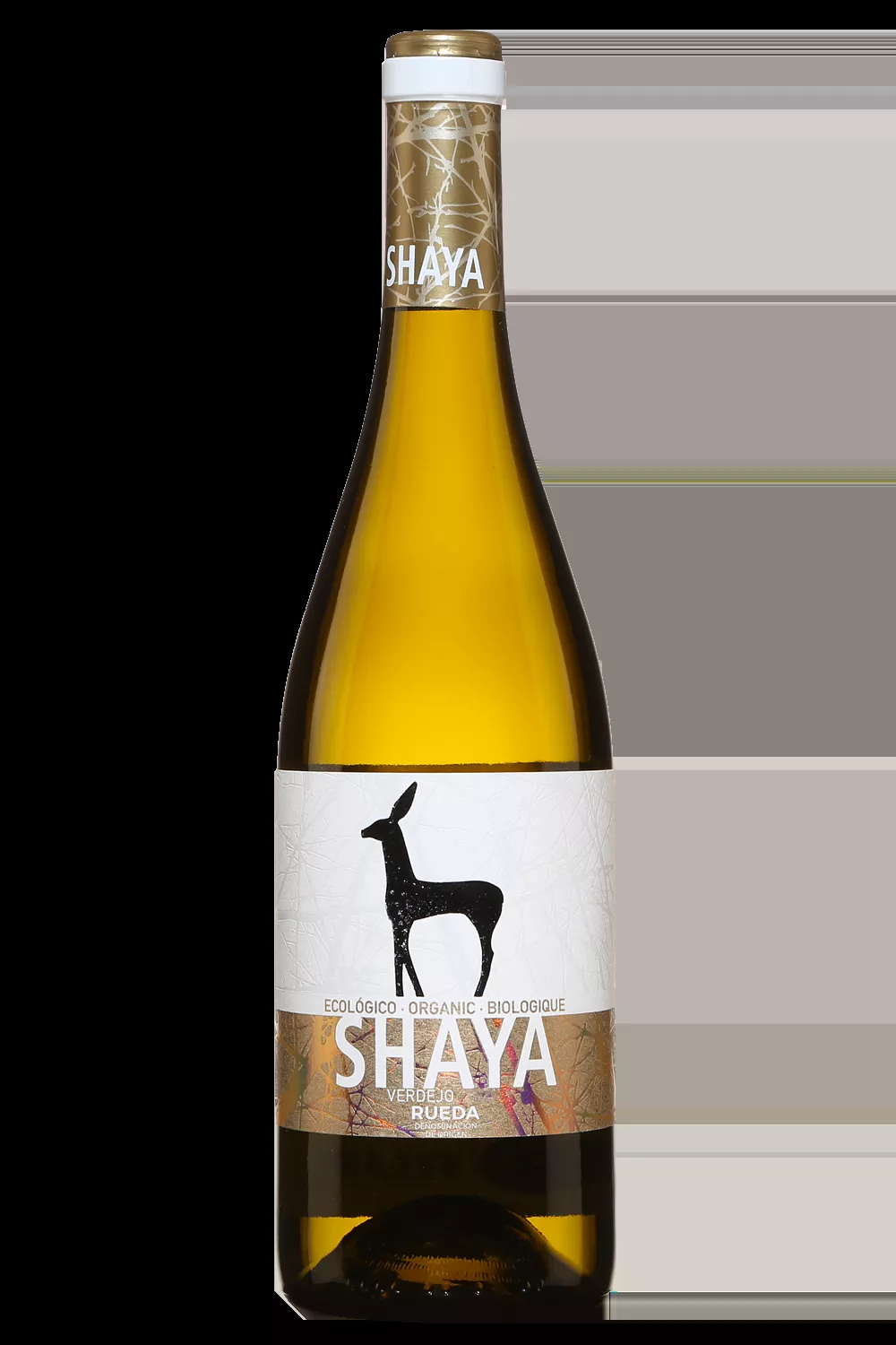 Shaya Verdejo